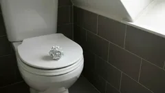 Tämä niksi pitää wc:n raikkaana ilman voimakkaita kemikaaleja